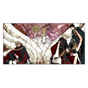 ����������� ������ �� �����/����� Tsubasa Reservoir Chronicle. ������ �������: 120 � 60 ��